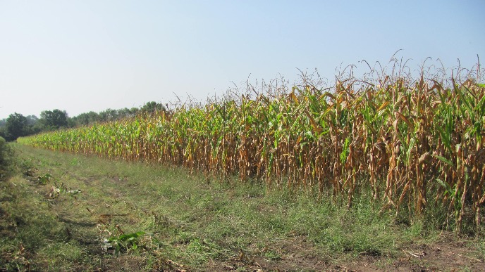 Neodrživost poljoprivrede